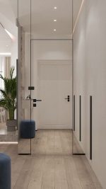 درب فریم لس آینه ای